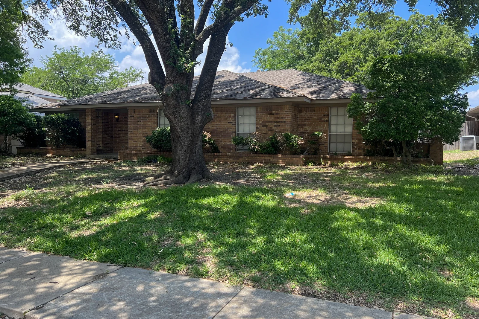 The Plano house before renovation: original red brick, aluminium windows and a mature front tree.