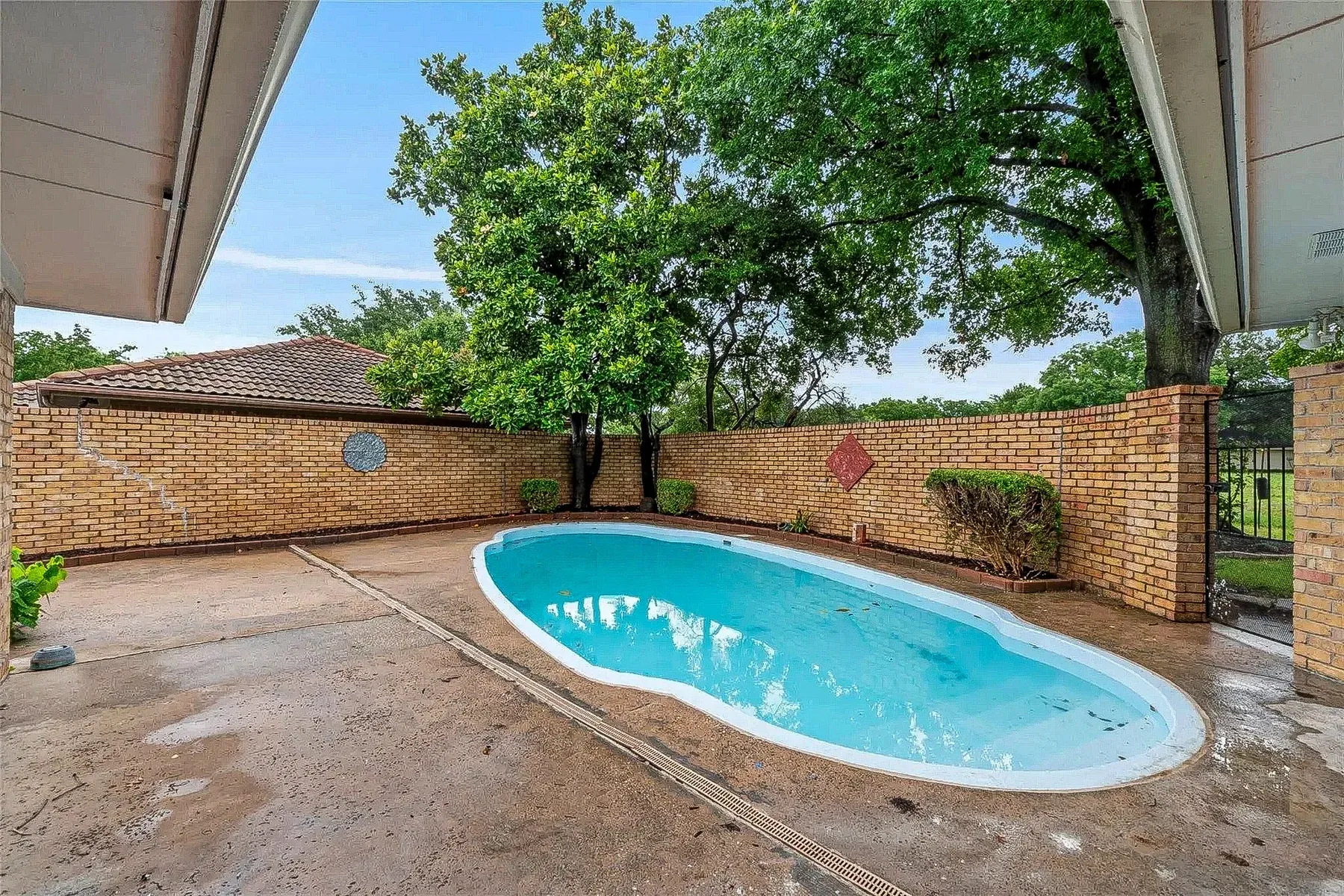 Refinished Fort Worth backyard pool with bright blue water, white coping, brick privacy wall, and mature trees.